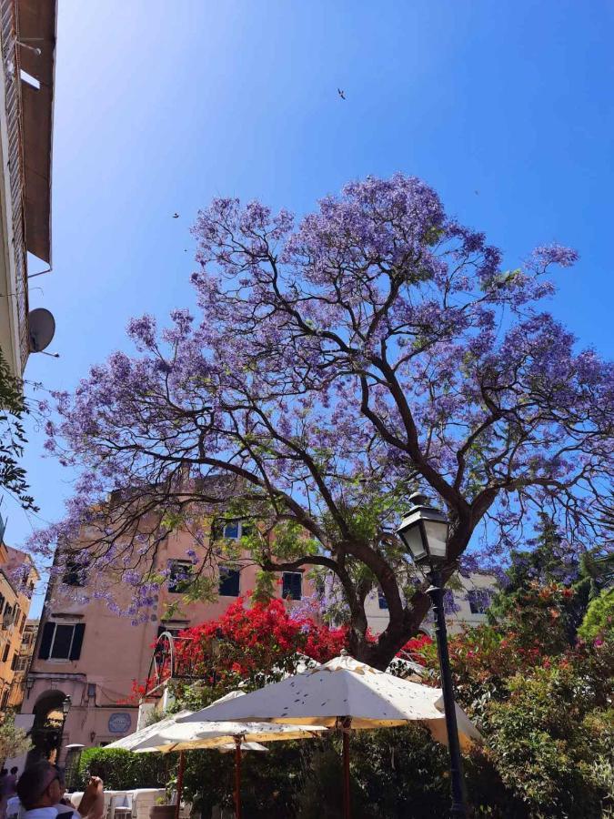Jacaranda Corfu Old Town Apt Ngoại thất bức ảnh